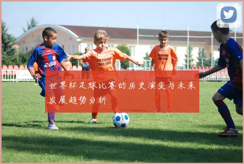 世界杯足球比赛的历史演变与未来发展趋势分析