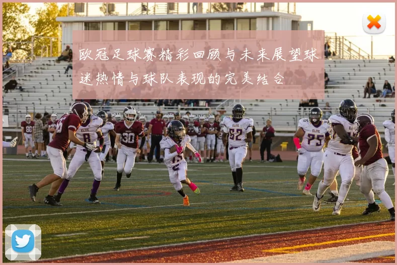 欧冠足球赛精彩回顾与未来展望球迷热情与球队表现的完美结合
