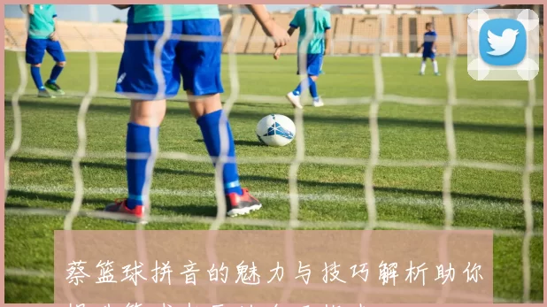 蔡篮球拼音的魅力与技巧解析助你提升篮球水平的全面指南