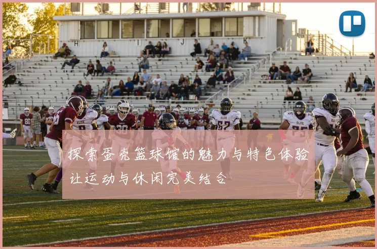 探索蛋壳篮球馆的魅力与特色体验让运动与休闲完美结合