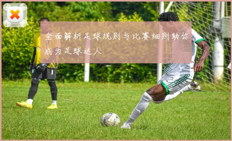 全面解析足球规则与比赛细则助你成为足球达人