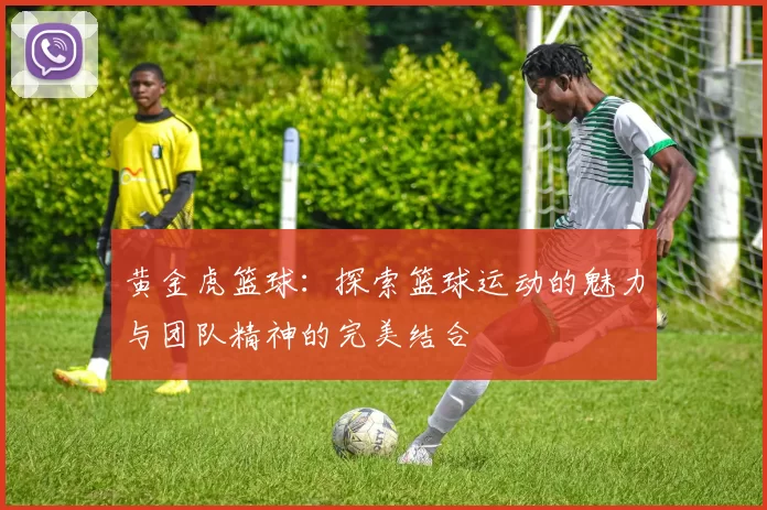 黄金虎篮球：探索篮球运动的魅力与团队精神的完美结合