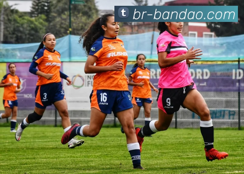 半岛体育平台生态图