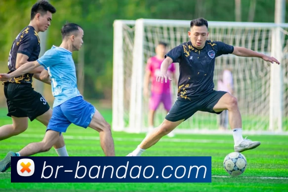 半岛体育APP 封面图